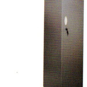 Locker Tiger BZ-C-A1T / BZ-C-A1
