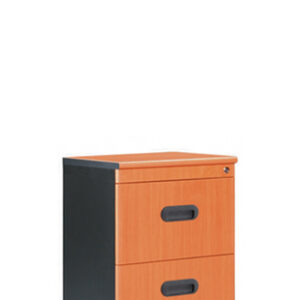 Filling cabinet 2 laci + central lock type DOF-32